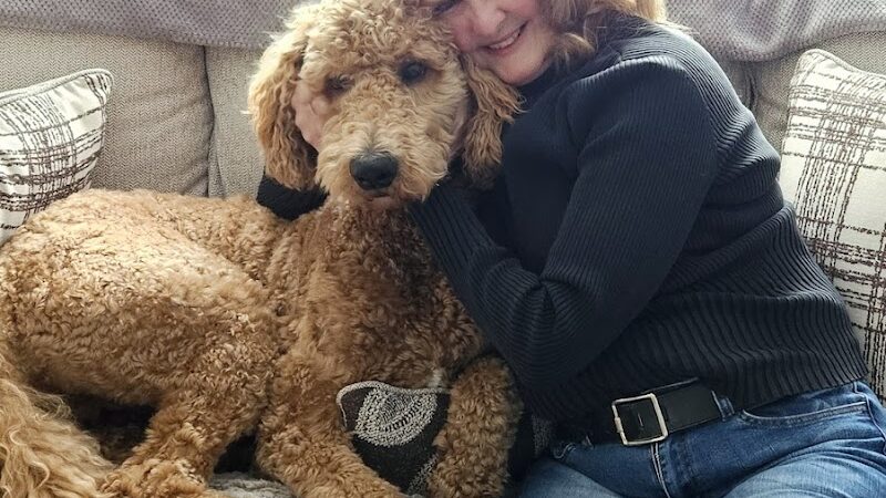 Dogtopia of Belden-Canton - Canton, OH