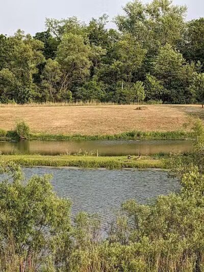 Fairhope Nature Preserve - Canton, OH