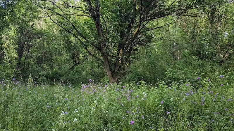 Fairhope Nature Preserve - Canton, OH