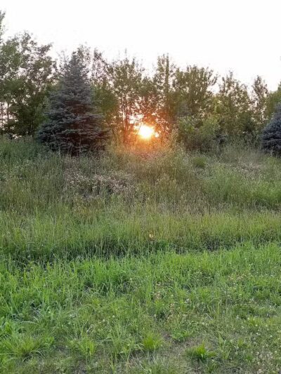 Fairhope Nature Preserve - Canton, OH