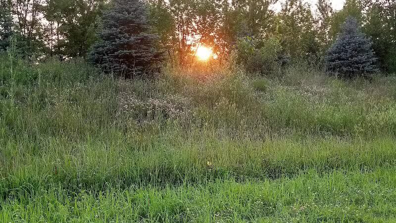Fairhope Nature Preserve - Canton, OH