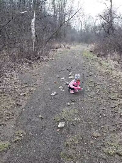 Fairhope Nature Preserve - Canton, OH