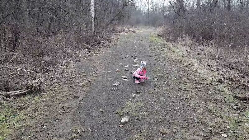 Fairhope Nature Preserve - Canton, OH