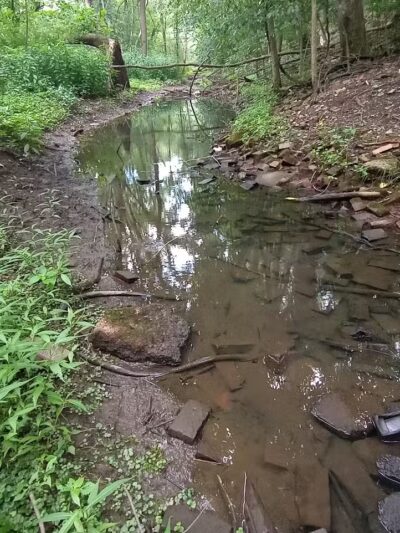 Frank Esmont Park - Canton, OH