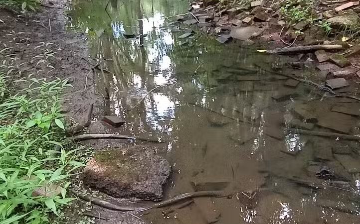 Frank Esmont Park - Canton, OH