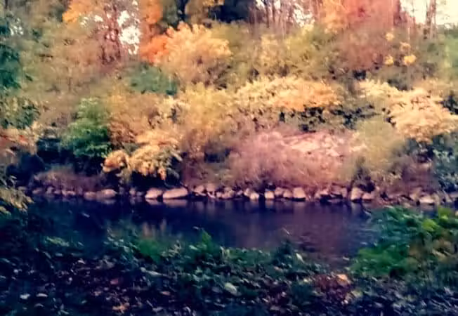 Frank Esmont Park - Canton, OH