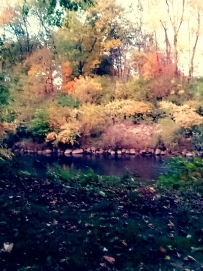 Frank Esmont Park - Canton, OH