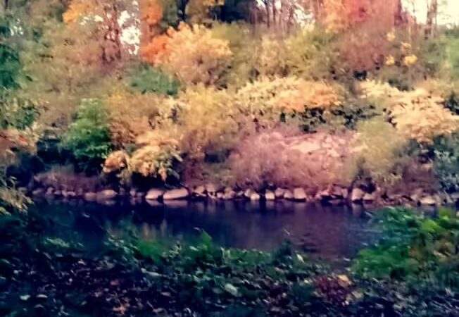 Frank Esmont Park - Canton, OH