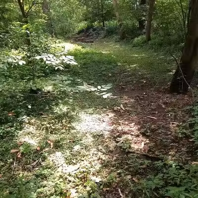 Frank Esmont Park - Canton, OH