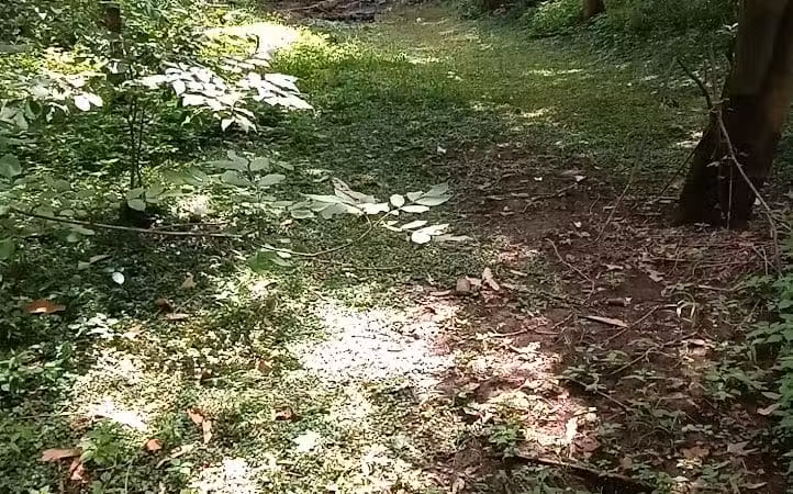 Frank Esmont Park - Canton, OH