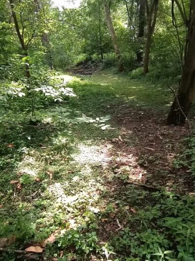 Frank Esmont Park - Canton, OH