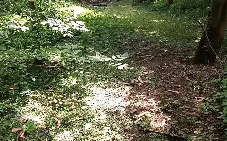 Frank Esmont Park - Canton, OH