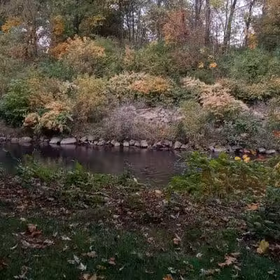 Frank Esmont Park - Canton, OH