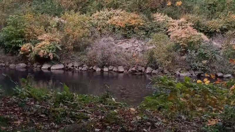 Frank Esmont Park - Canton, OH