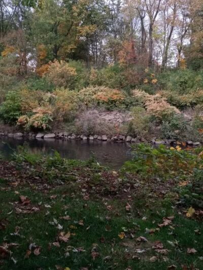 Frank Esmont Park - Canton, OH