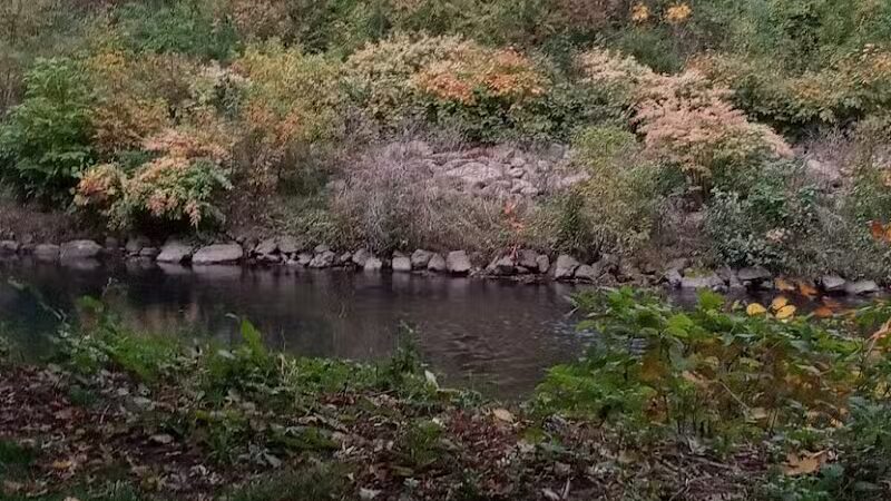 Frank Esmont Park - Canton, OH