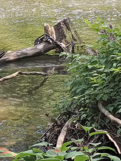 Frank Esmont Park - Canton, OH