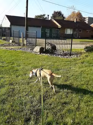 Garaux Park - Canton, OH