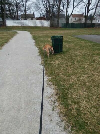 Garaux Park - Canton, OH