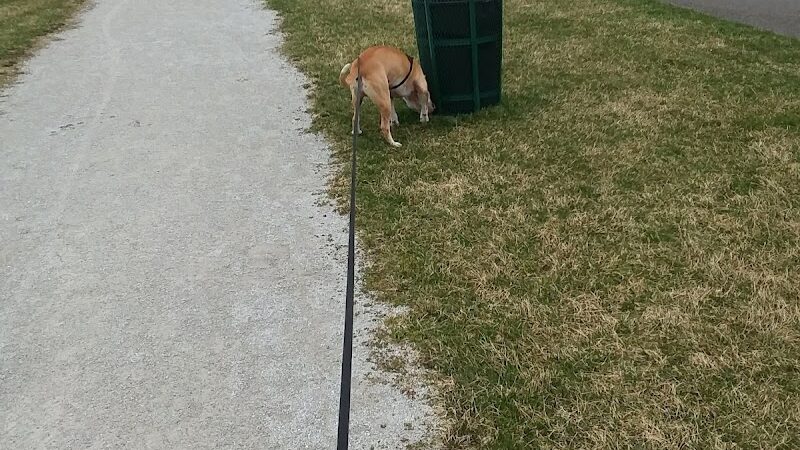 Garaux Park - Canton, OH