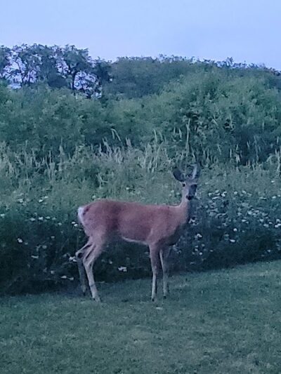 Gervasi Station Trailhead - Canton, OH