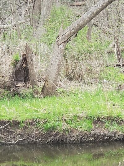 Gervasi Station Trailhead - Canton, OH