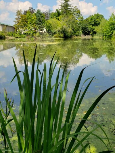 Gervasi Station Trailhead - Canton, OH