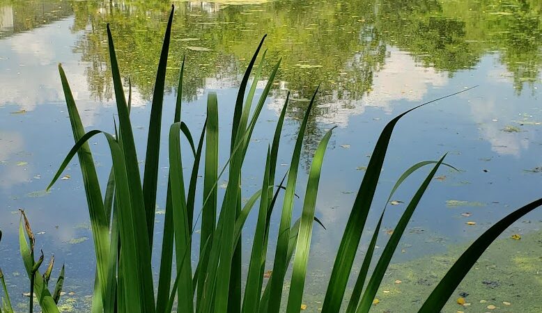 Gervasi Station Trailhead - Canton, OH