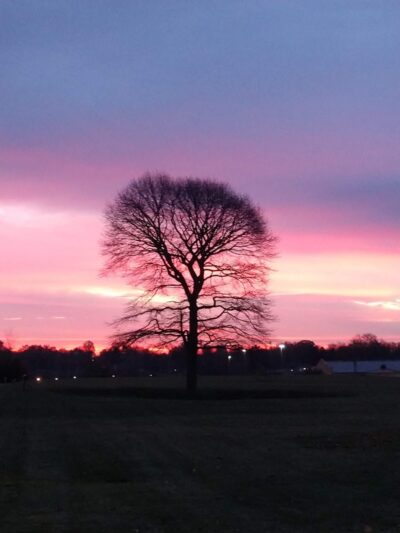 Harvard Park - Canton, OH