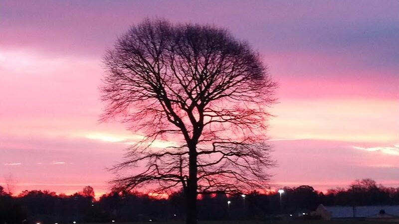 Harvard Park - Canton, OH