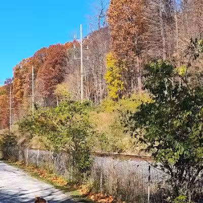 Ink Park - Canton, OH