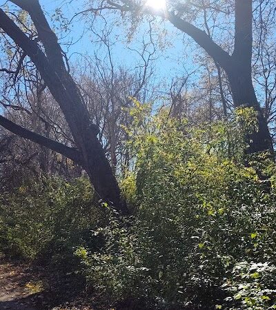 Ink Park - Canton, OH