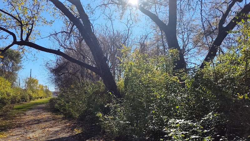 Ink Park - Canton, OH