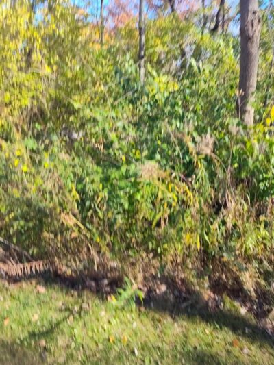 Ink Park - Canton, OH