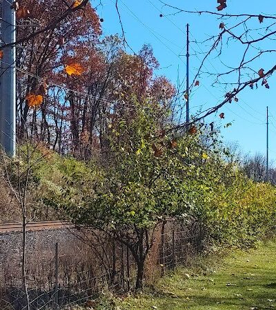 Ink Park - Canton, OH