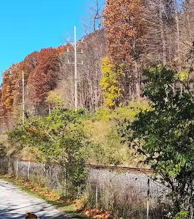 Ink Park - Canton, OH