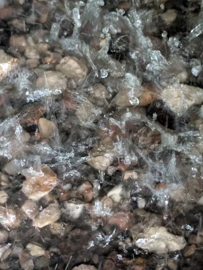 Lee Park - Canton, OH