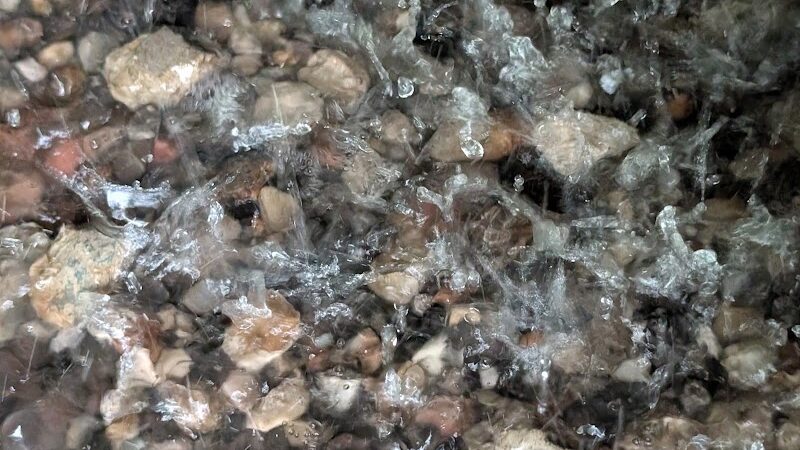 Lee Park - Canton, OH