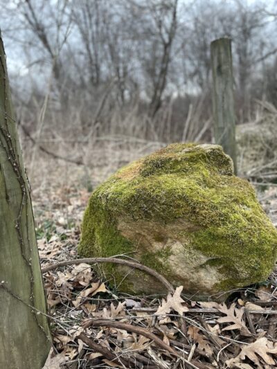 Mallonn Park - Canton, OH