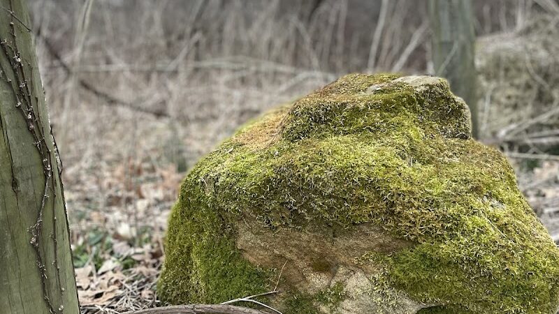 Mallonn Park - Canton, OH