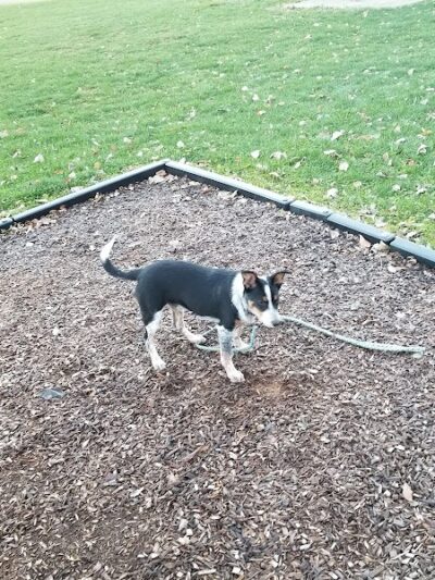 Mallonn Park - Canton, OH