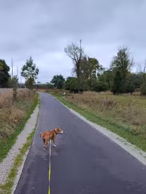 Martindale Park - Canton, OH