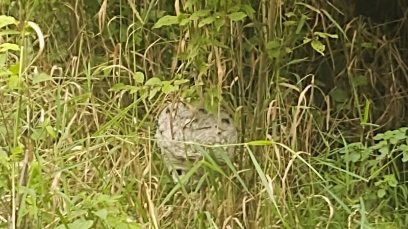 Martindale Park - Canton, OH