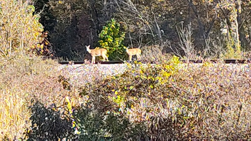 Martindale Park - Canton, OH