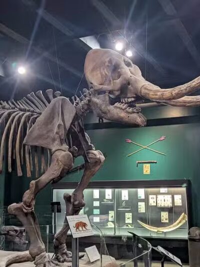 McKinley Memorial Park - Canton, OH