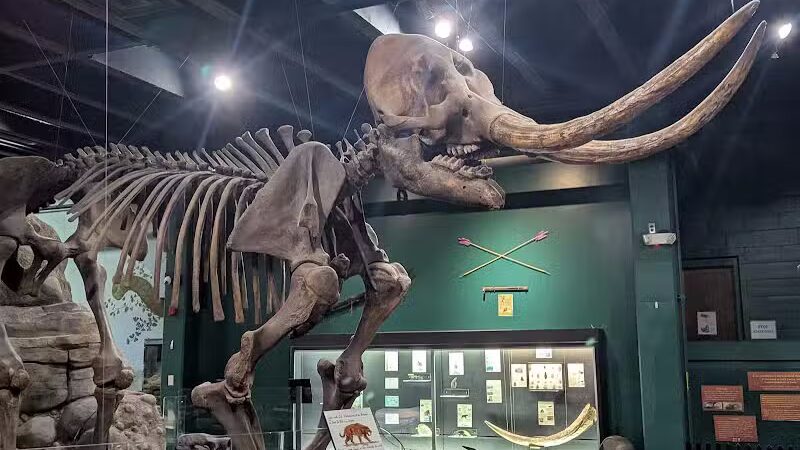 McKinley Memorial Park - Canton, OH