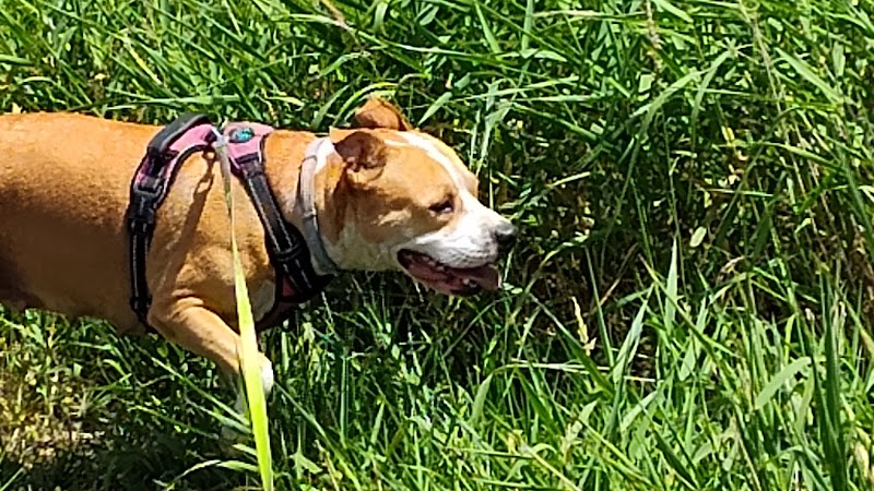 Middle Branch Trail - Canton, OH