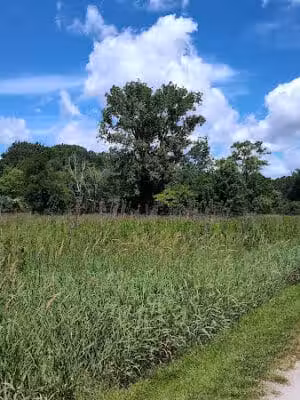 Middle Branch Trail - Canton, OH