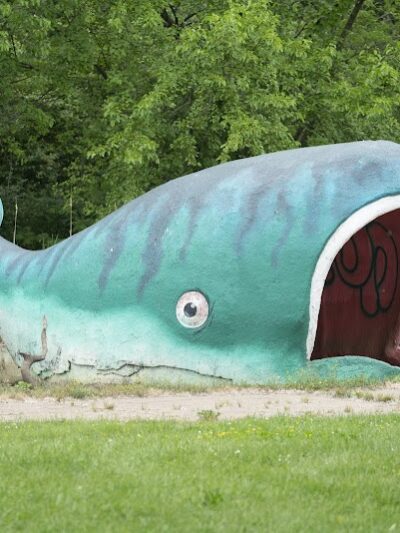 Mother Gooseland - Canton, OH