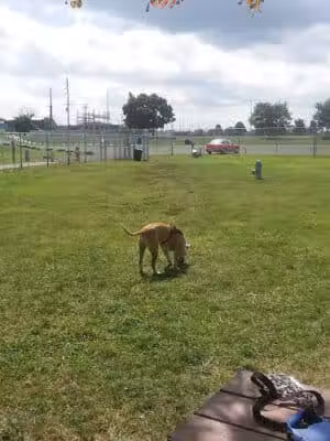 Mother Gooseland - Canton, OH